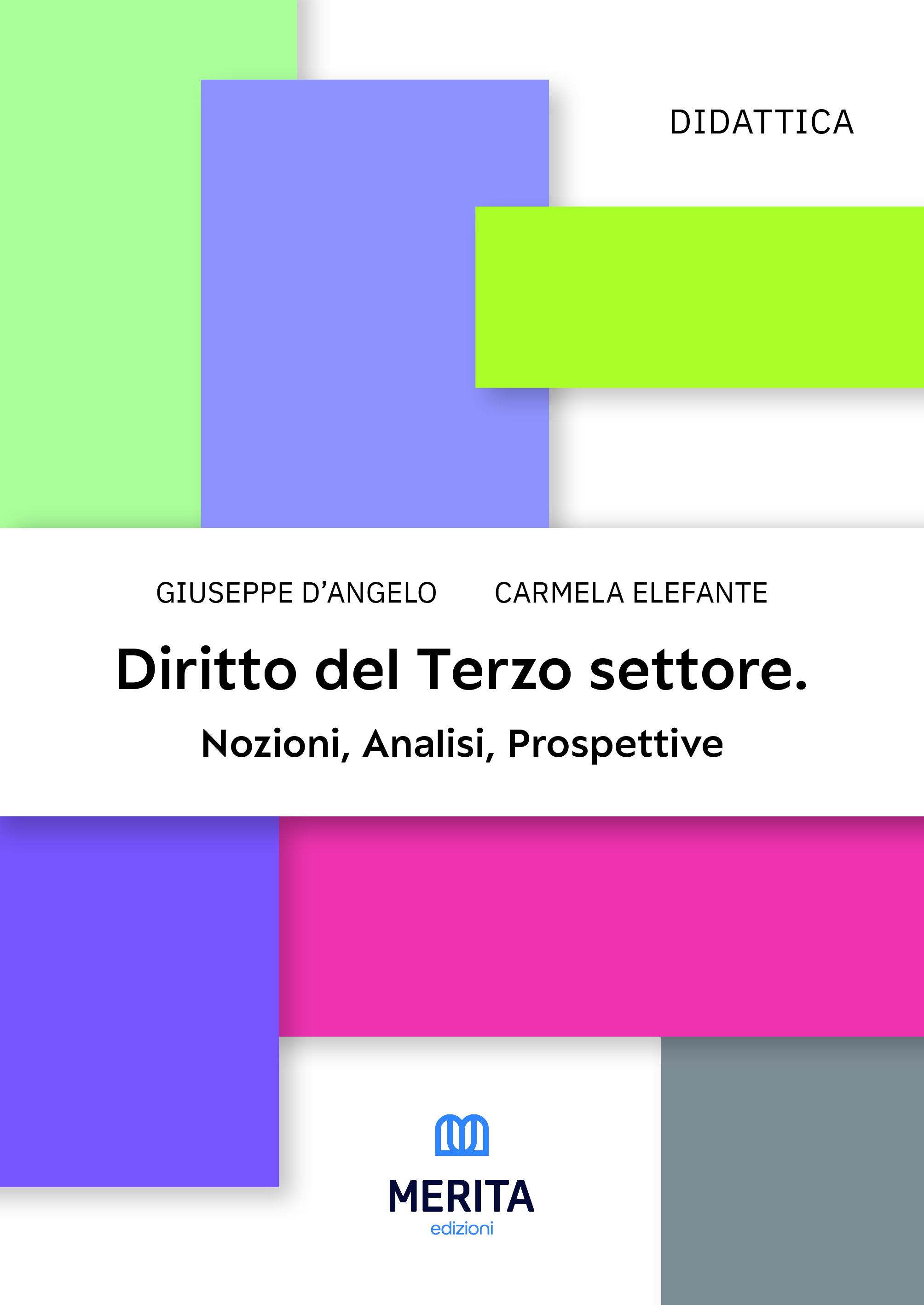 Diritto del Terzo settore. Nozioni, Analisi, Prospettive